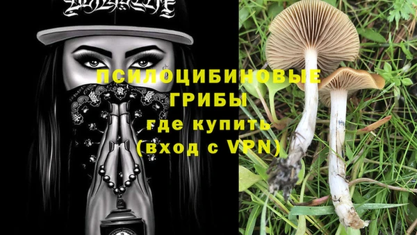 Альфа ПВП Аркадак