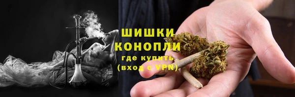 спиды Арсеньев